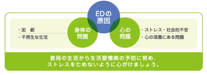 �d�c�i�u�N�s�S�j�̌���